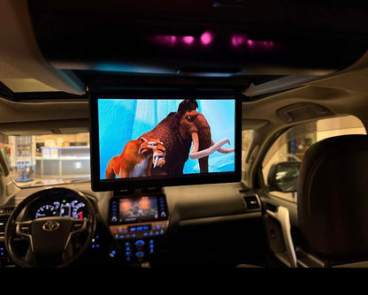 TOYOTA LAND CRUISER 2022