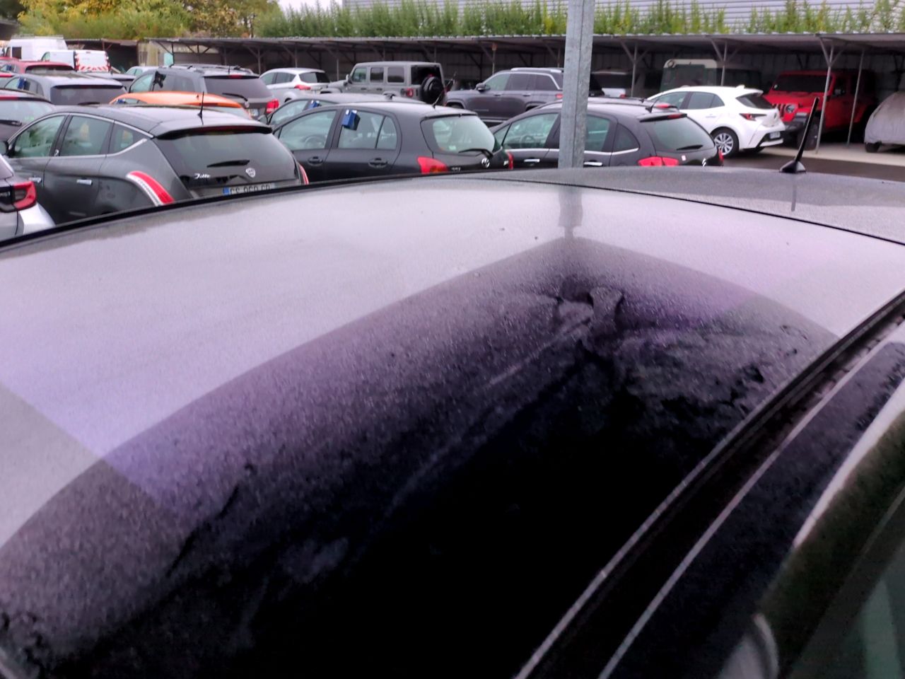 TOYOTA VERSO 2010 D-CAT