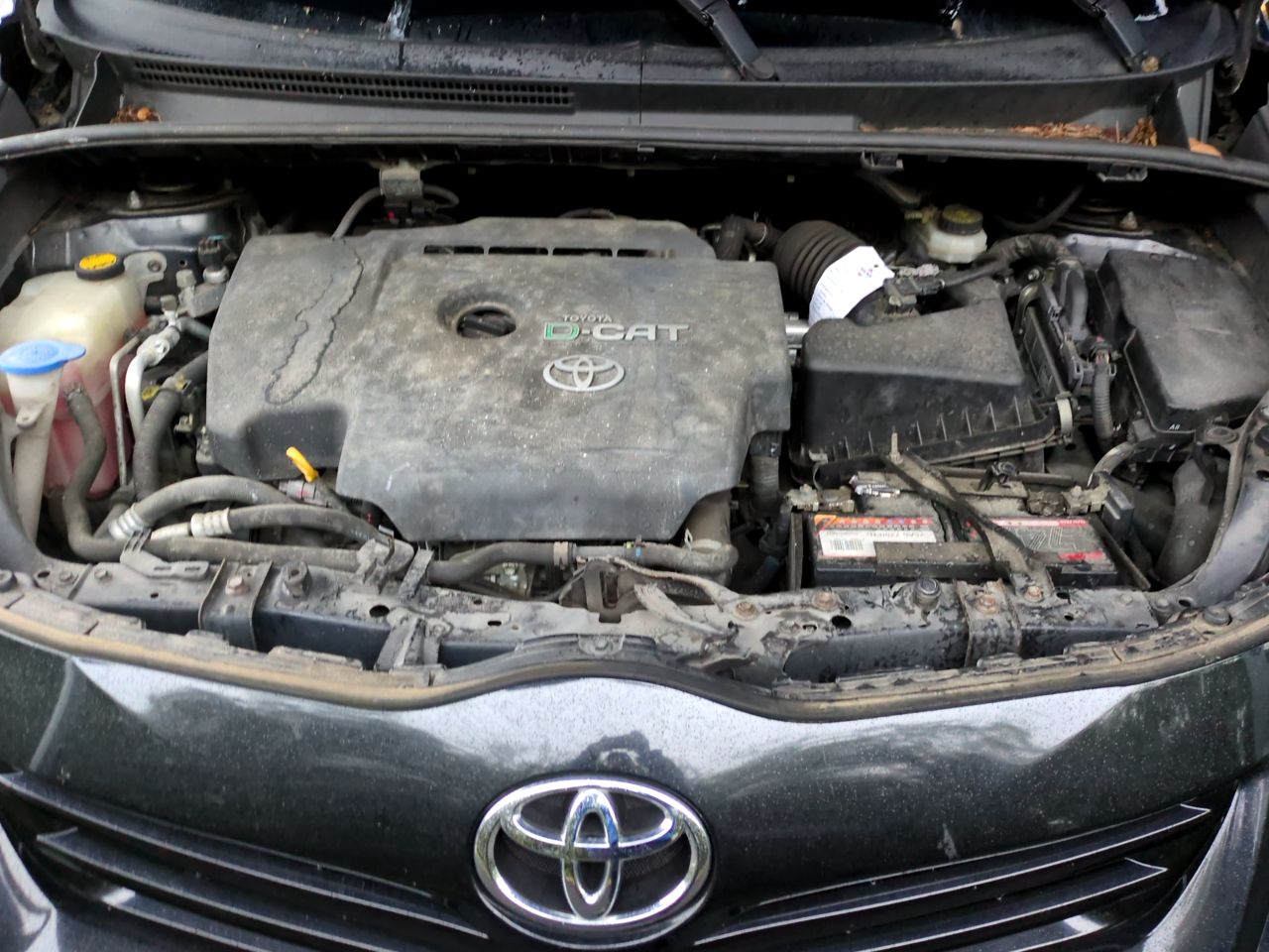 TOYOTA VERSO 2010 D-CAT